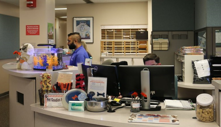 Steven's Veterinary Hospital Interior