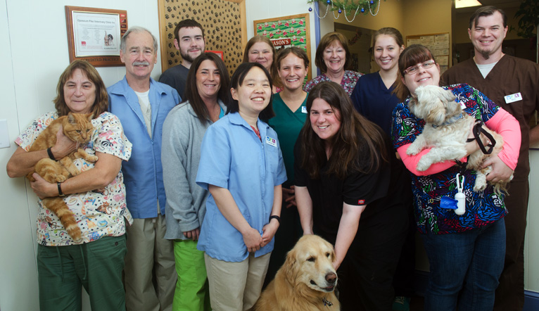 Steven's Veterinary Hospital Team